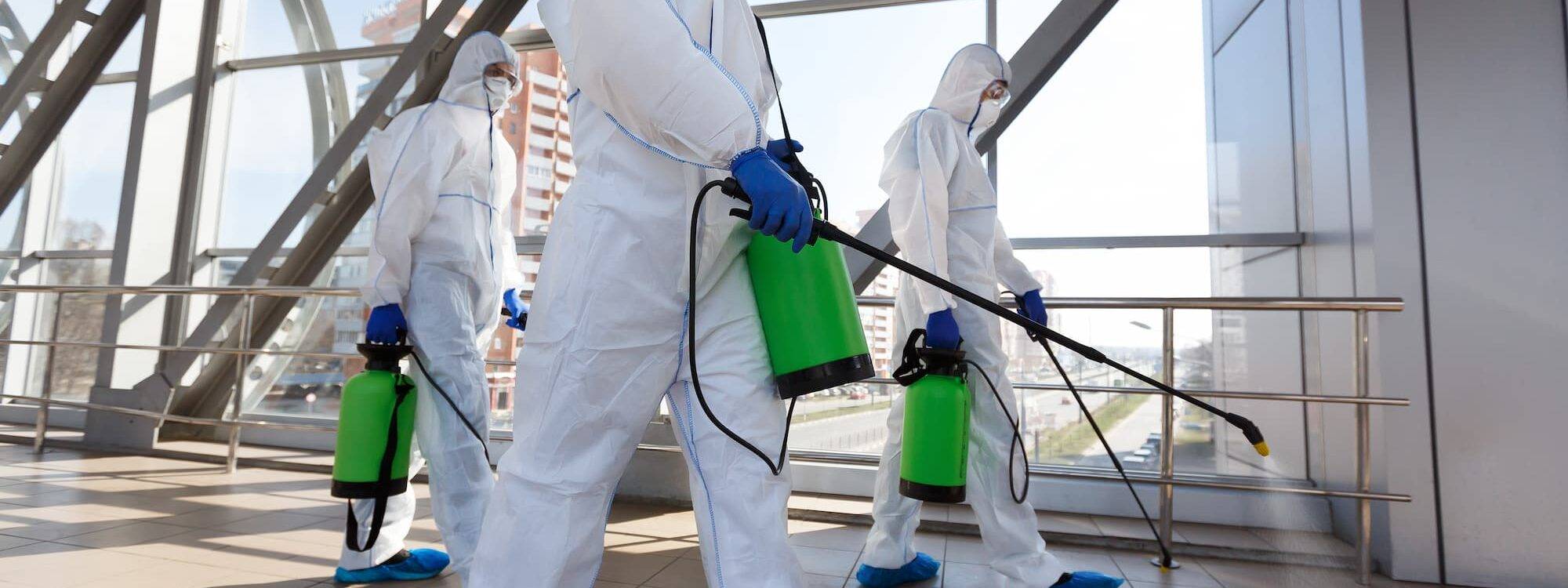 Traitement par pulvérisation et fumigation des punaises de lit et puces vers Strasbourg et Ostwald Erstein