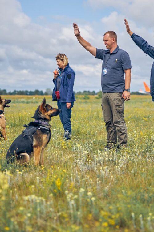 Détection canine des punaises de lit à Strasbourg et proche de Schiltigheim Bischheim 6