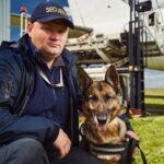 ADOBESTOCK_442297192 150X150 | Allo nuisible Détection canine des punaises de lit à Strasbourg et proche de Schiltigheim Obernai 5
