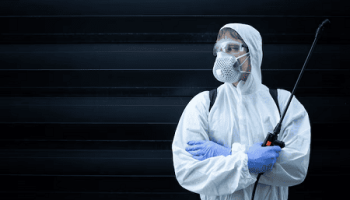 PEST CONTROL | Allo nuisible Punaises de lit : comment les reconnaître, les éviter et s’en débarrasser efficacement en 2025 Erstein 6