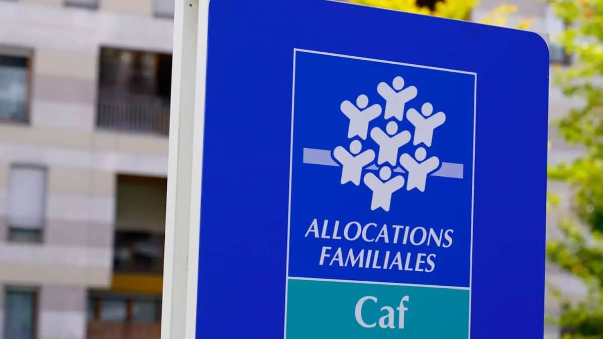 CAF RSA PRIME DACTIVITE. TOUTES CES AIDES AUGMENTENT AU MOIS DAVRIL 2023 | Allo nuisible Peut-on bénéficier d’un crédit d’impôt ou d’aides pour une intervention anti-nuisible à Strasbourg ? Ostwald 3
